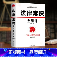 中国法律体系概览与法律咨询服务指引