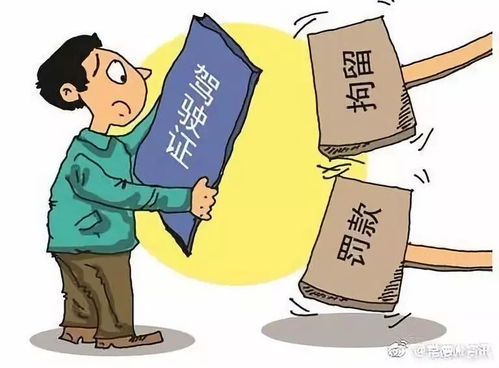 孪生兄弟难辨真伪 无证驾驶终露马脚——从“成武高速”事件看冒用驾驶证的法律风险